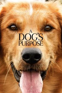 A Dog’s Purpose